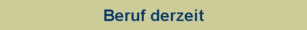 Beruf derzeit